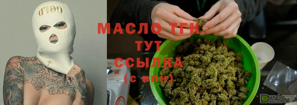 прущие грибы Аркадак