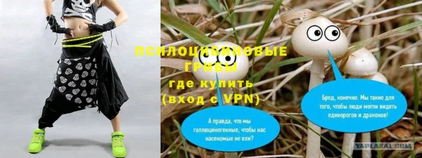 метадон Армянск