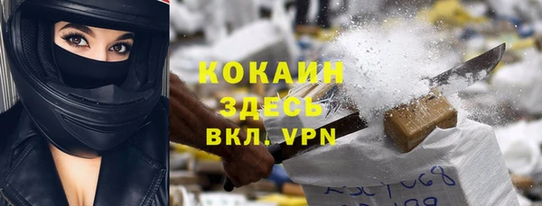 прущие грибы Аркадак